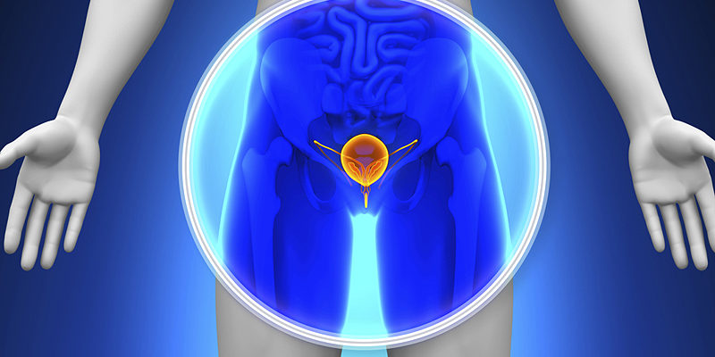 Urologic Cancer Program